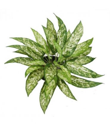 Pack of 6 x 45cm Fire Retardant Artificial Aglaonema Bush