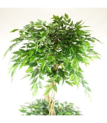 180cm Artificial Twisted Trunk Fruticosa Ficus Tree Triple Ball Topiary 1984 Leaves Silver Metal Planter