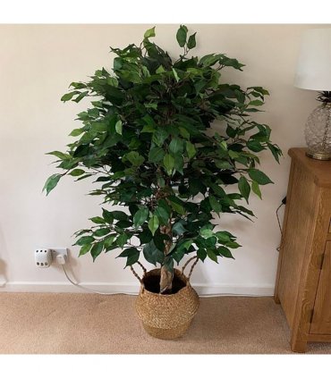 120cm Artificial Ficus Tree / Plant - Large Bushy Shape Gold Metal Planter