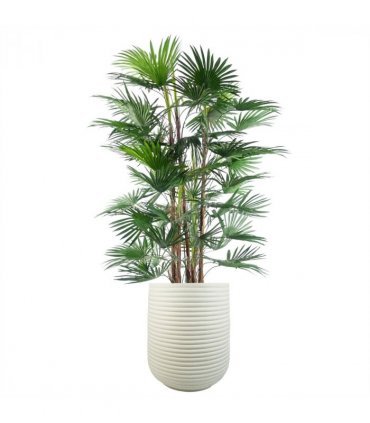 46cm x 40cm Mikos Extra Large Ridged Composite Planter - Stone Colour