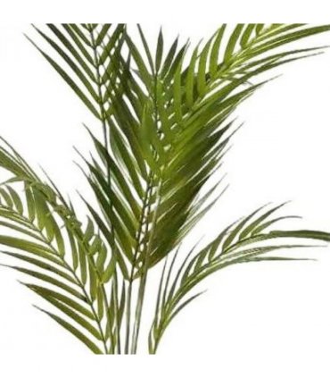 70cm Artificial Areca Palm Tree
