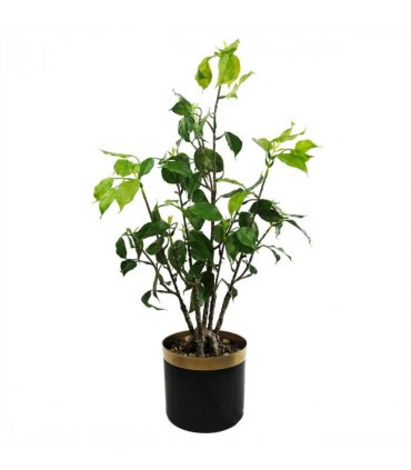 60cm Artificial Banyan Bonsai Ficus Tree