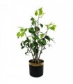 60cm Artificial Banyan Bonsai Ficus Tree