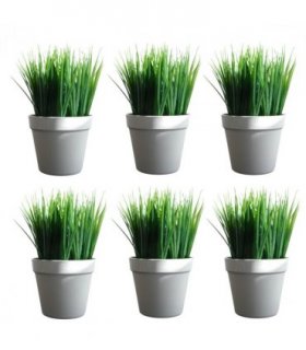 Pack of 6 x 22cm Artificial Grass Plant