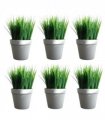 Pack of 6 x 22cm Artificial Grass Plant