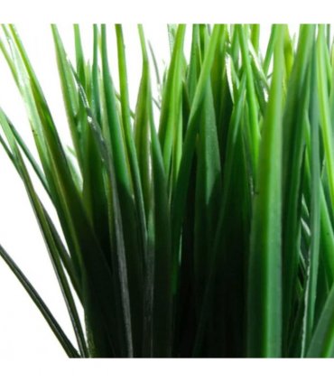 Pack of 6 x 22cm Artificial Grass Plant