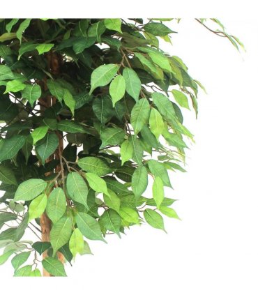 150cm Artificial Ficus Tree