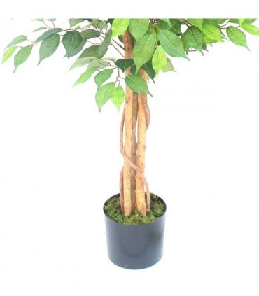 150cm Artificial Ficus Tree