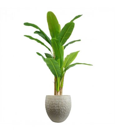 43cm Inoke Embossed Large Stone Colour Composite Planter Plant Pot