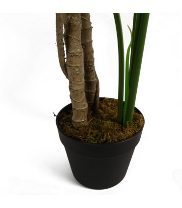 150cm (5ft) Luxury Monstera Plant Black Pot Silver Metal Planter