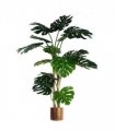 150cm (5ft) Luxury Monstera Plant Black Pot Copper Metal Planter