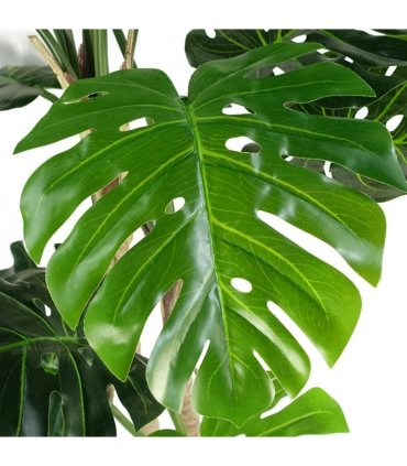 150cm (5ft) Luxury Monstera Plant Black Pot Copper Metal Planter