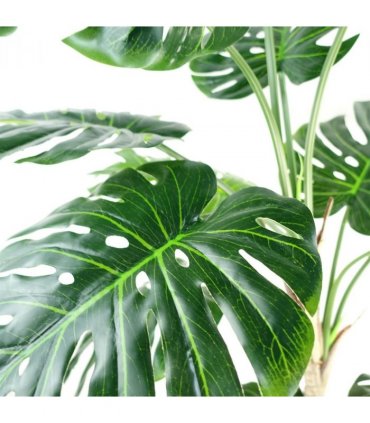 150cm (5ft) Luxury Monstera Plant Black Pot Copper Metal Planter