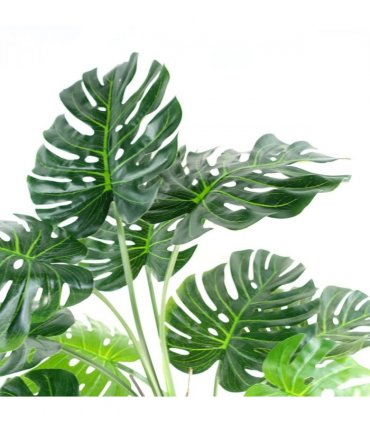 150cm (5ft) Luxury Monstera Plant Black Pot Copper Metal Planter