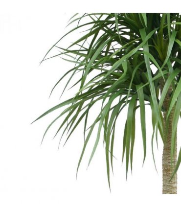 180cm Dracaena Realistic Artificial Tree