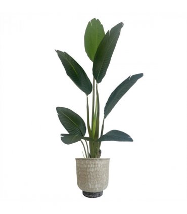 32cm x 29cm Brushed Gold Stone Effect Planter Composite Plant Pot