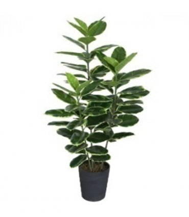 120cm Artificial Rubber Tree