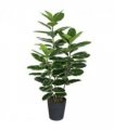120cm Artificial Rubber Tree