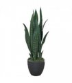 70cm Artificial Sansevieria Dark Green