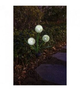 Solar Allium Bloom