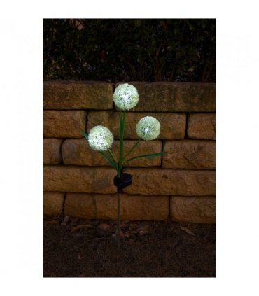 Solar Allium Bloom