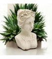 Stylish Roman Lady Bust Sculpture – Stone-Look Cement Statue with Patina Finish, Frost-Resistant & Weatherproof Decorative Ornament for Home, Porch, Balcony & Garden (27cm Cream Lady Bust Statue)