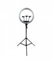 Eclipse Ring Light