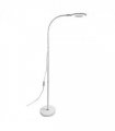 Chameleon Multi Task Lamp