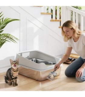 Cat Litter Box