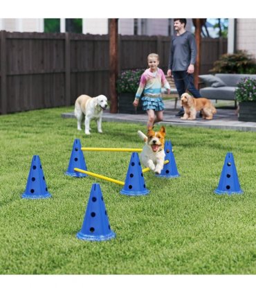 Dog Agility Equipment Set of Eight Cones