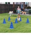 Dog Agility Equipment Set of Eight Cones