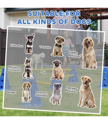 Dog Agility Equipment Set of Eight Cones