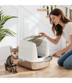 Cat Litter Box