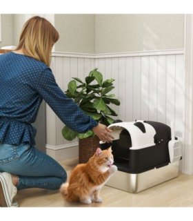 Cat Litter Box