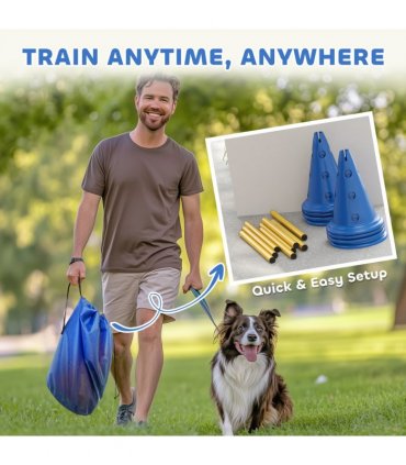 Dog Agility Equipment Set of Eight Cones
