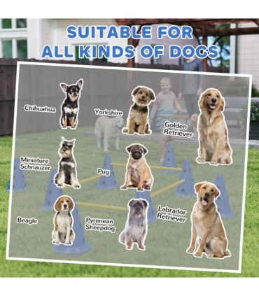 Dog Agility Equipment Set of Eight Cones