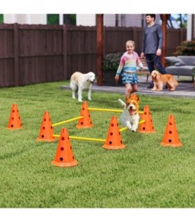 Dog Agility Equipment Set of Eight Cones
