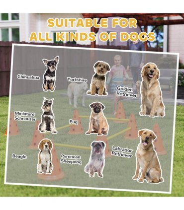 Dog Agility Equipment Set of Eight Cones