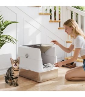 Cat Litter Box