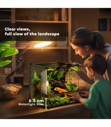 Reptile Glass Terrace