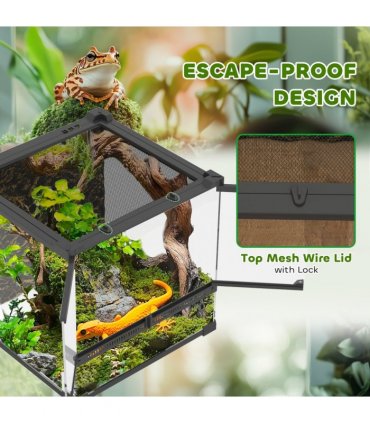 Reptile Glass Terrace