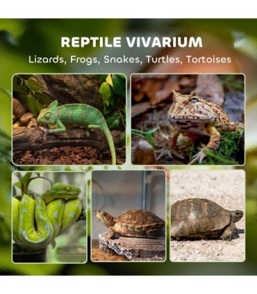 Reptile Glass Terrace