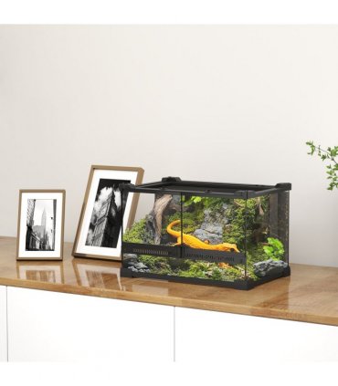 Reptile Glass Terrace