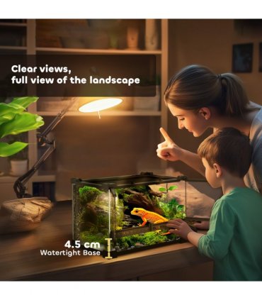 Reptile Glass Terrace