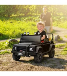 Truck Electric Car