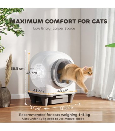 Cat Litter Box
