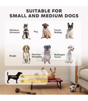 Dog House