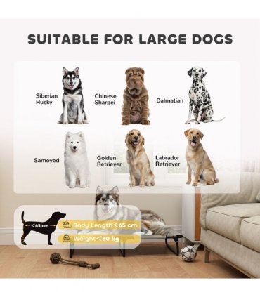 Dog House