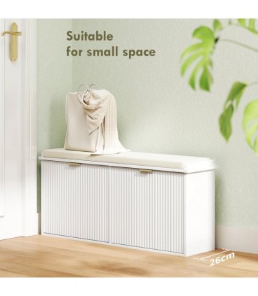 Shoe Storage Cabinet