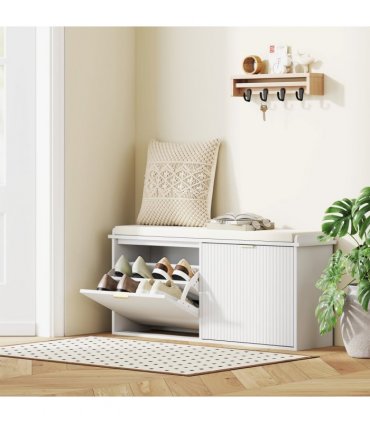 Shoe Storage Cabinet
